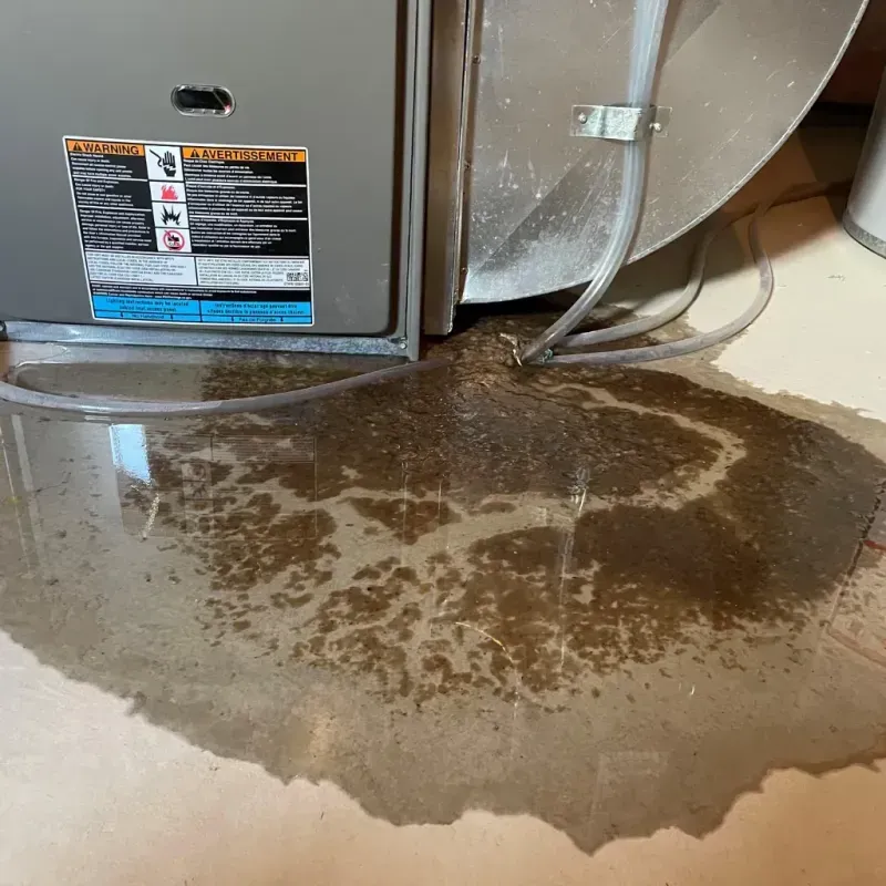 Appliance Leak Cleanup in Silver Grove, KY